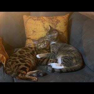 Meet your Posher, Brianna